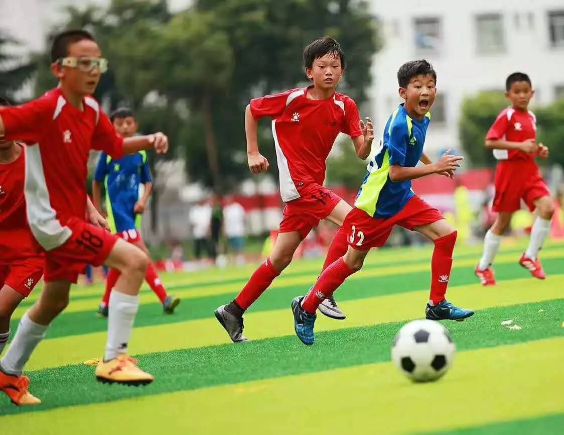 波黑VS卡塔尔直播_波黑VS卡塔尔无插件高清免费直播_2026世界杯波黑VS卡塔尔直播免费观看 盐城队无插件直播信号
